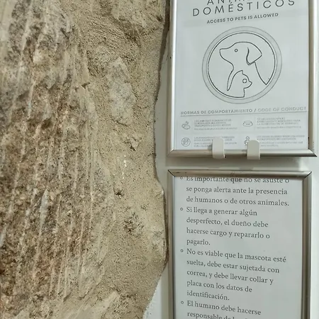 Coruna Vip Centro Lägenhet *